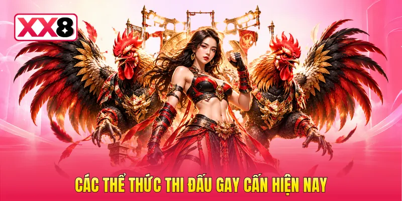 Các thể thức thi đấu gay cấn hiện nay