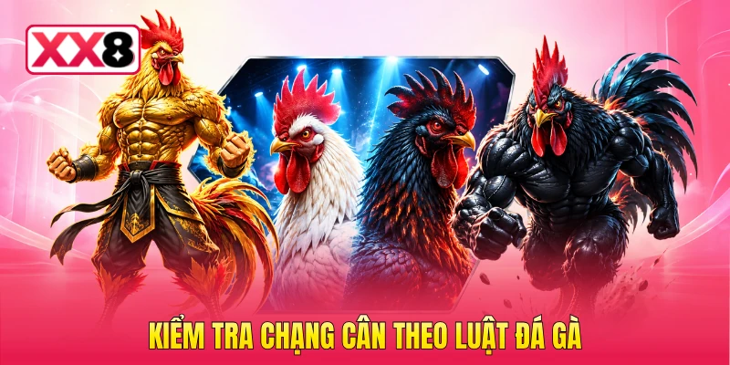 Kiểm tra chạng cân theo luật đá gà