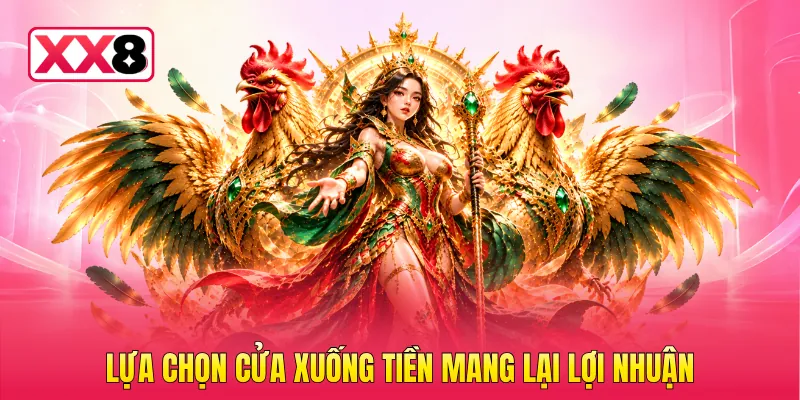 Lựa chọn cửa xuống tiền mang lại lợi nhuận