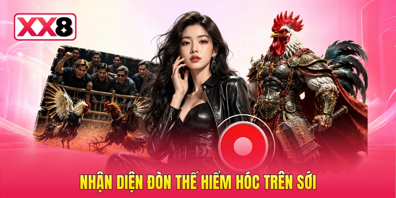 Nhận diện đòn thế hiểm hóc trên sới