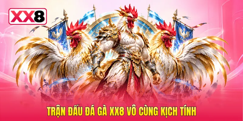 Trận đấu đá gà XX8 vô cùng kịch tính